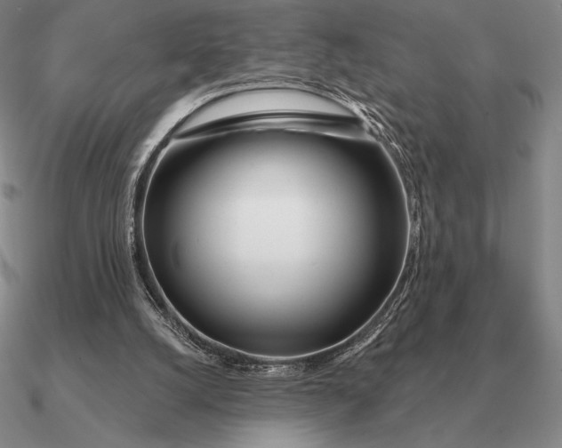 X0000090610056200708071212