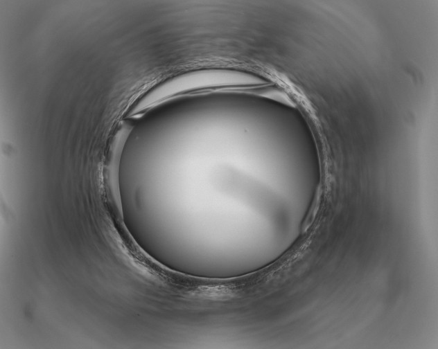 X0000090610057200708071212