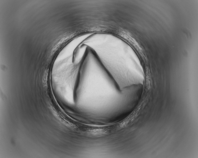 X0000090610058200708071212