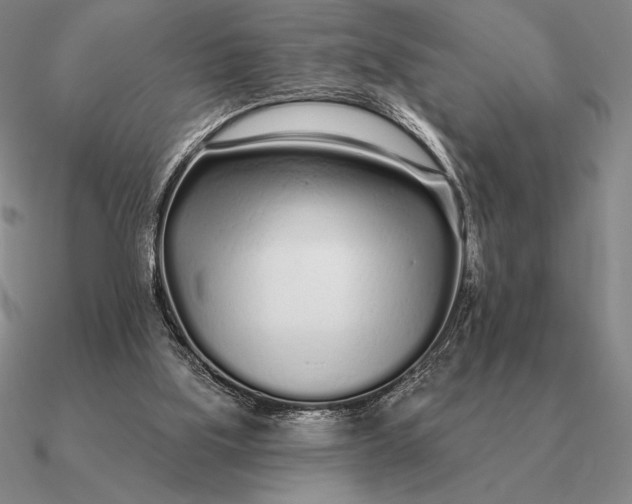 X0000090610059200708071212