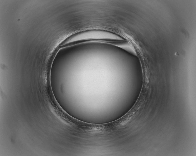 X0000090610060200708071212