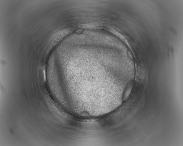 X0000090610061200708071212