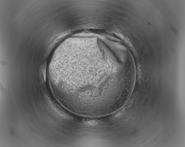 X0000090610062200708071212