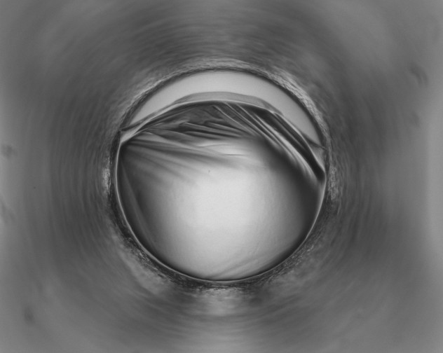 X0000090610063200708071212