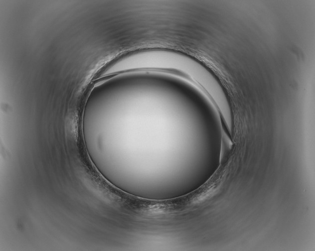 X0000090610064200708071212