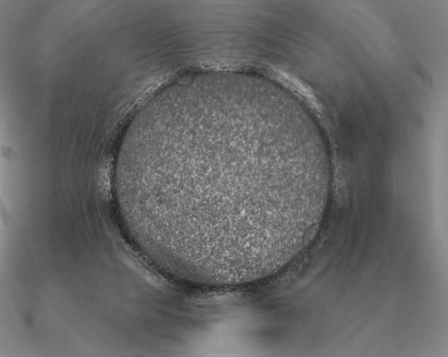 X0000090610065200708071212