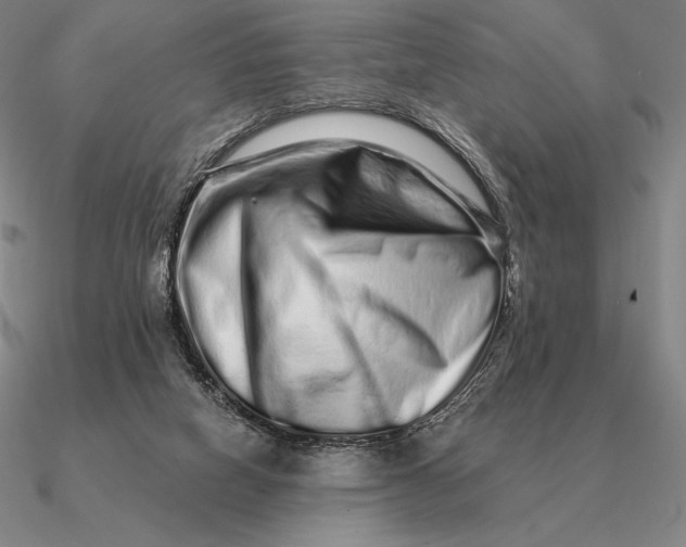 X0000090610066200708071212