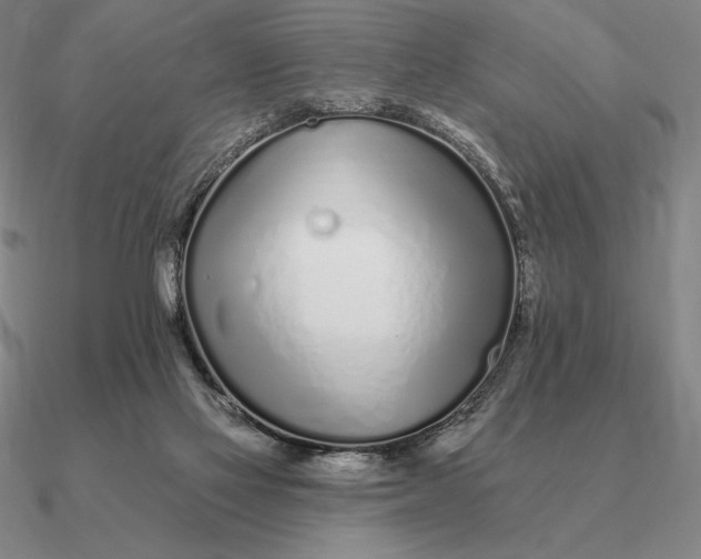 X0000090610069200708071212