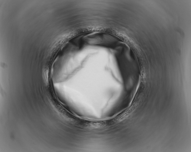 X0000090610070200708071212