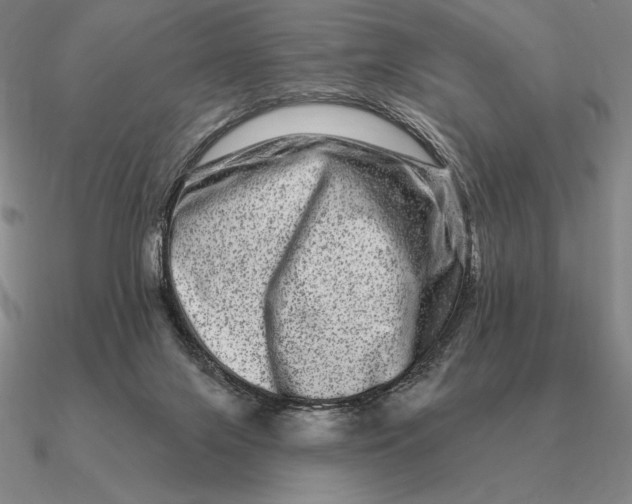 X0000090610071200708071212