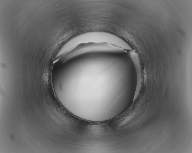 X0000090610072200708071212