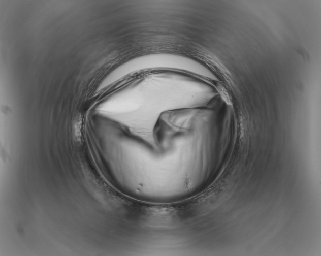 X0000090610073200708071212