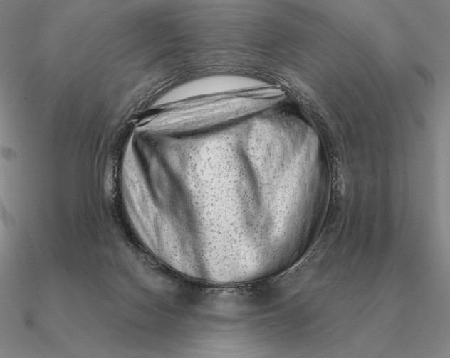 X0000090610074200708071212