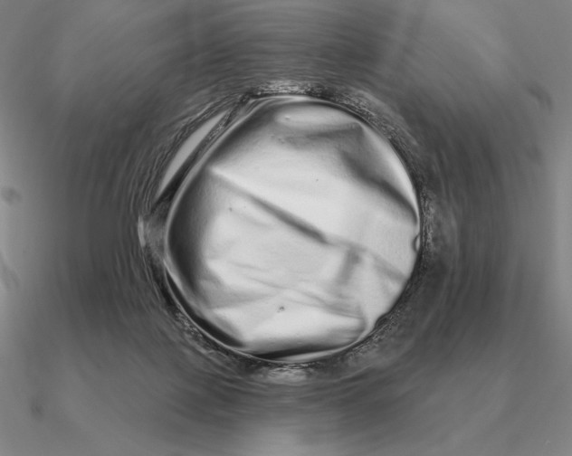 X0000090610075200708071212