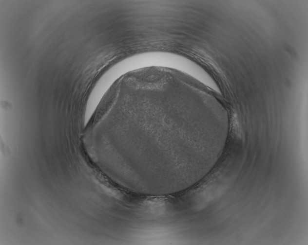 X0000090610076200708071212