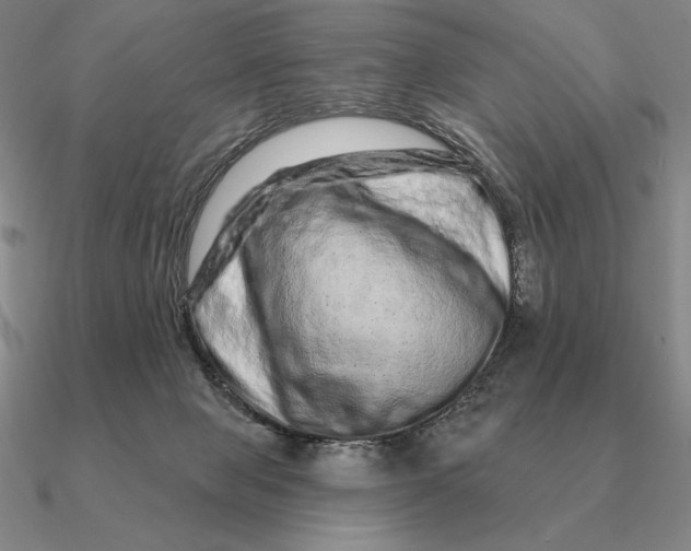 X0000090610077200708071212