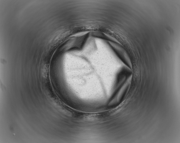 X0000090610078200708071212