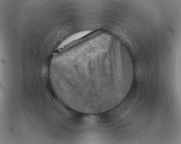 X0000090610079200708071212