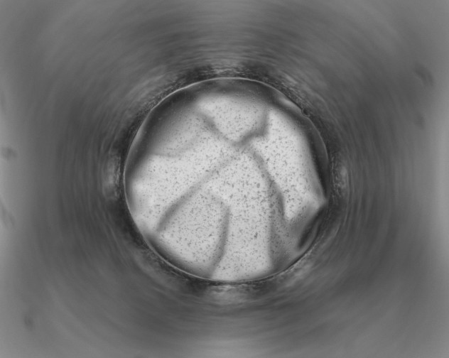 X0000090610082200708071212