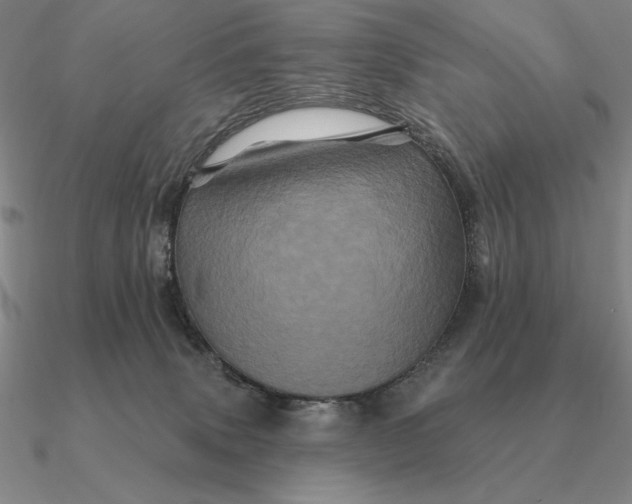 X0000090610083200708071212