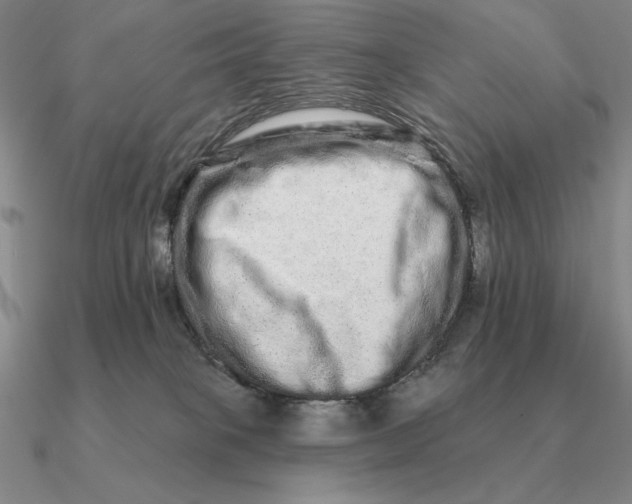 X0000090610085200708071212