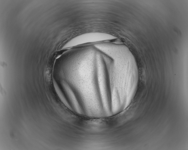 X0000090610086200708071212