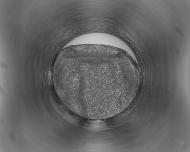 X0000090610087200708071212