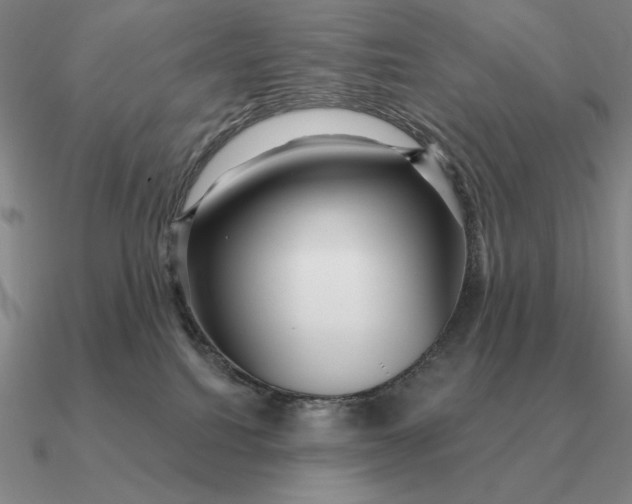 X0000090610088200708071212