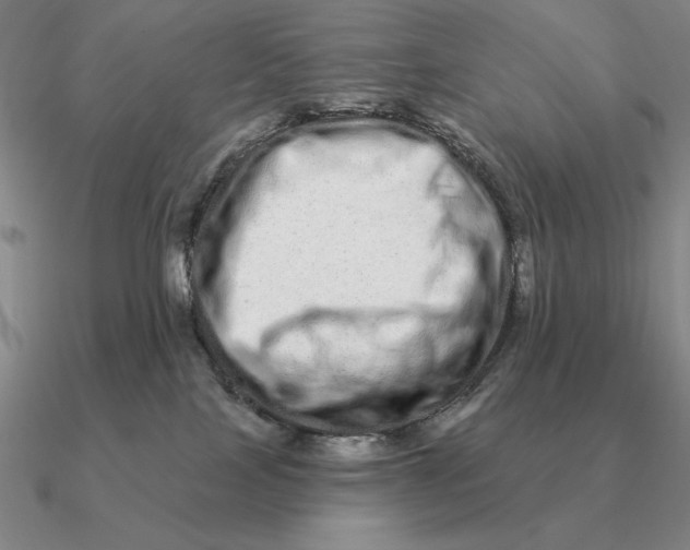 X0000090610089200708071212