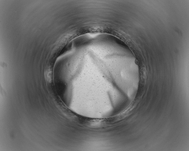 X0000090610090200708071212