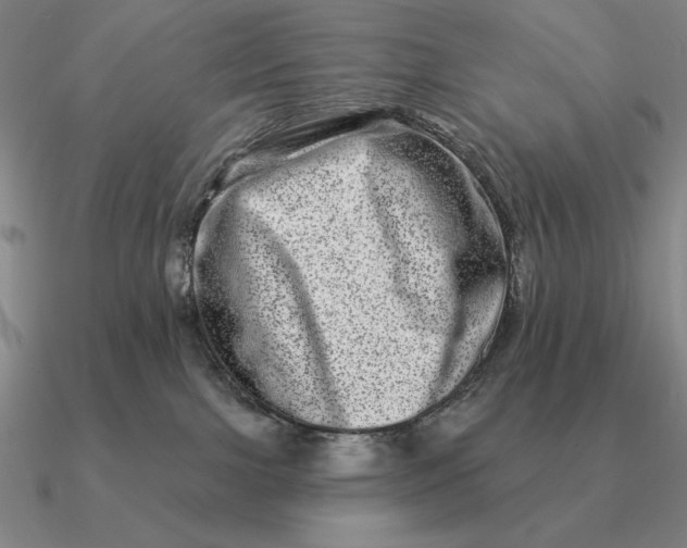 X0000090610091200708071212