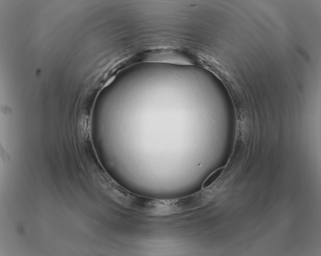 X0000090610093200708071212