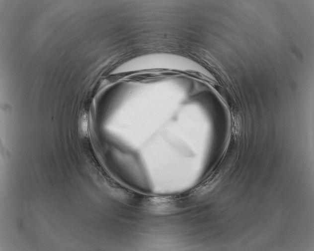 X0000090610095200708071212