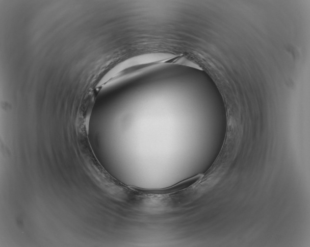 X0000090610096200708071212