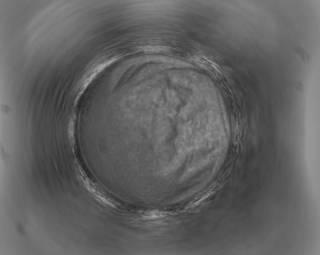 X0000090610098200708071212