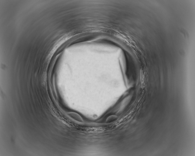 X0000090610099200708071212