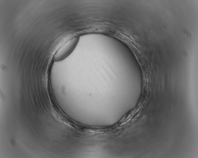 X0000090610100200708071212