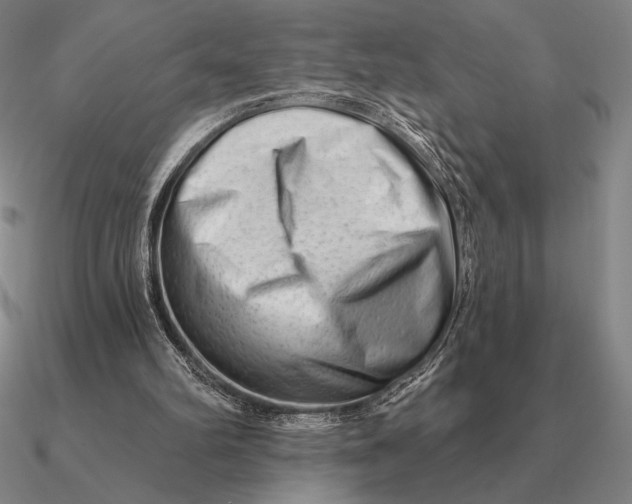 X0000090610102200708071212