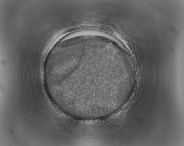 X0000090610103200708071211