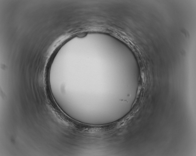 X0000090610104200708071211