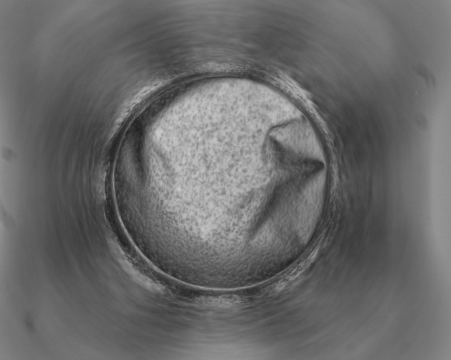 X0000090610106200708071211