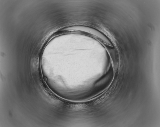 X0000090610107200708071211