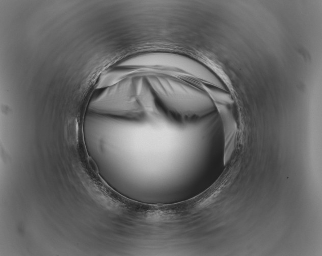 X0000090610109200708071211