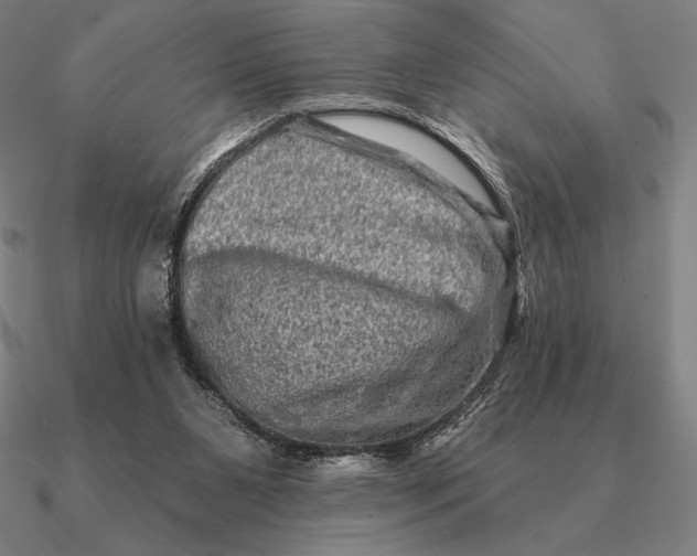 X0000090610111200708071211