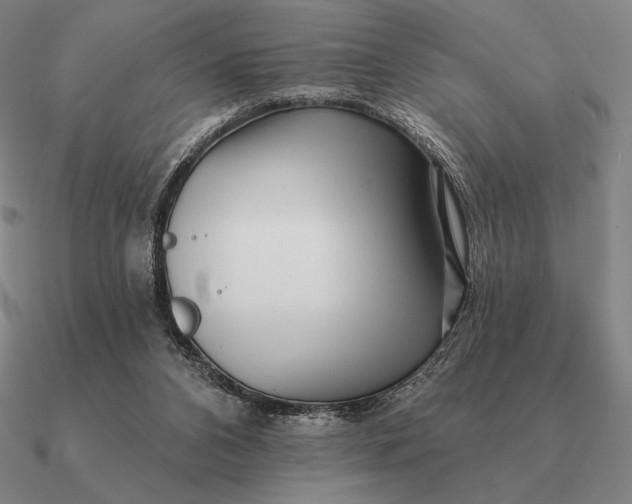 X0000090610112200708071211