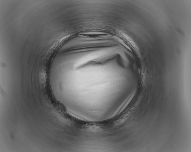 X0000090610113200708071211