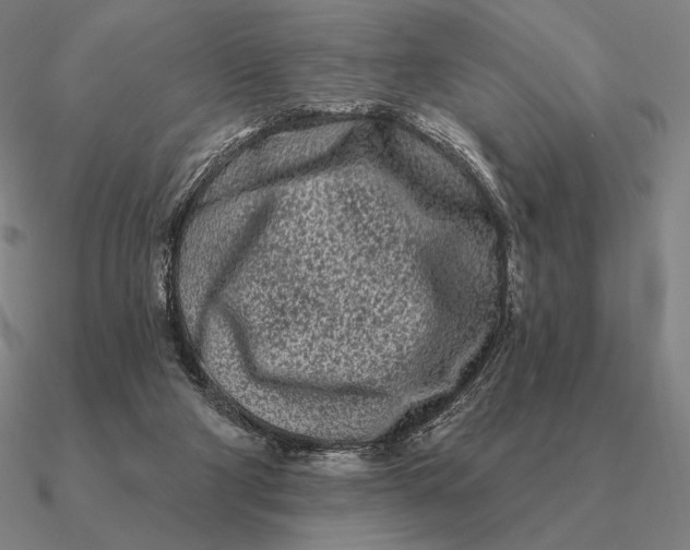 X0000090610114200708071211