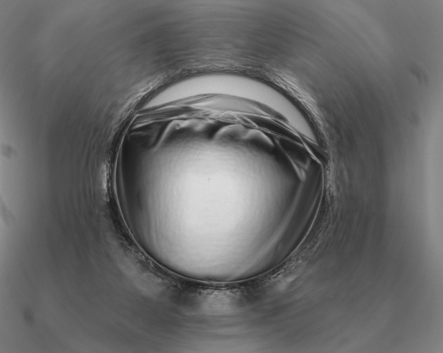 X0000090610115200708071211