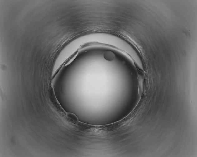 X0000090610117200708071211