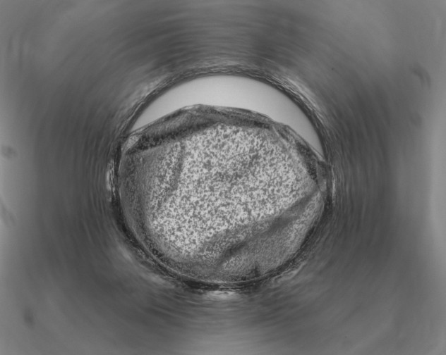 X0000090610119200708071211